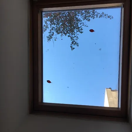 Small House In Belleville